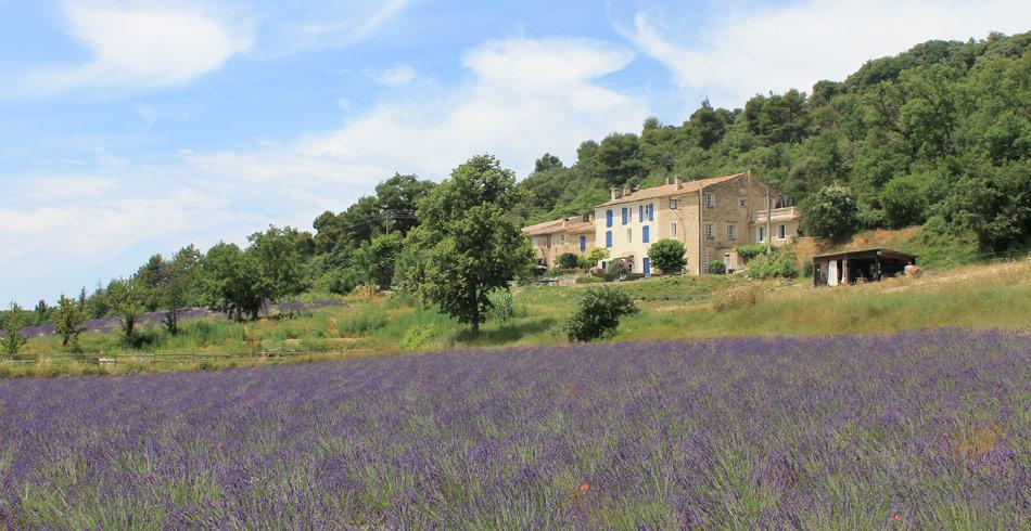 Domaine De Bertrandy Bed & Breakfast Allemagne-en-Provence Ngoại thất bức ảnh